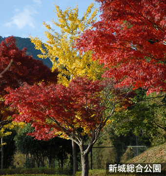 新城総合公園